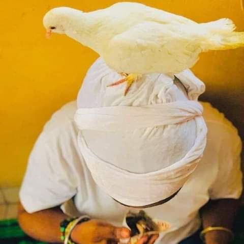 okinifa's tweet photo. Appeasing Head (Guarding Angel)
#ORI
#ELEDA https://t.co/kjvknjhJYm