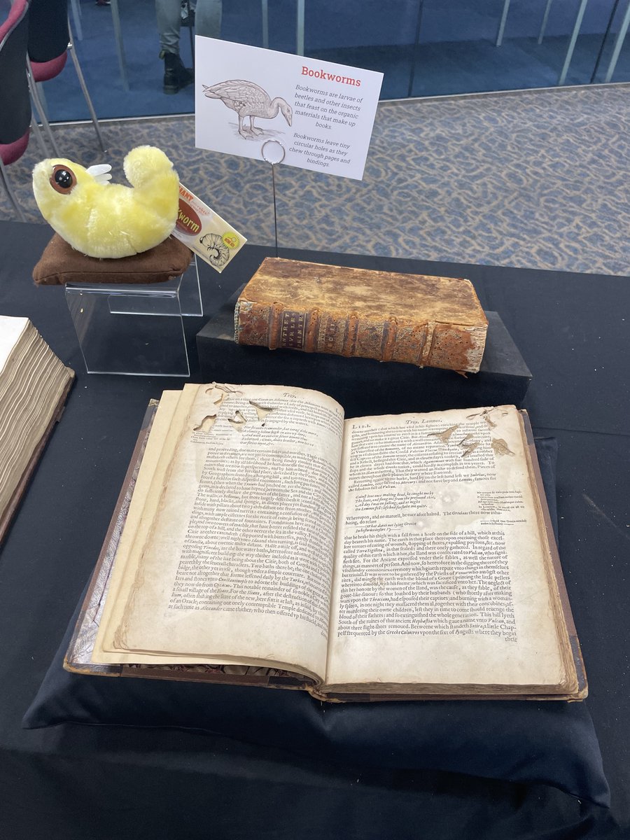 Thank you to everyone who joined us on #MarylandDay2023 for the Rare Book Petting Zoo in Hornbake Library!

It was a treat to share with so many visitors our favorite parts of a #rarebook including marbled paper, type, book bindings, vellum, book sizes, bookplates, and bookworms!