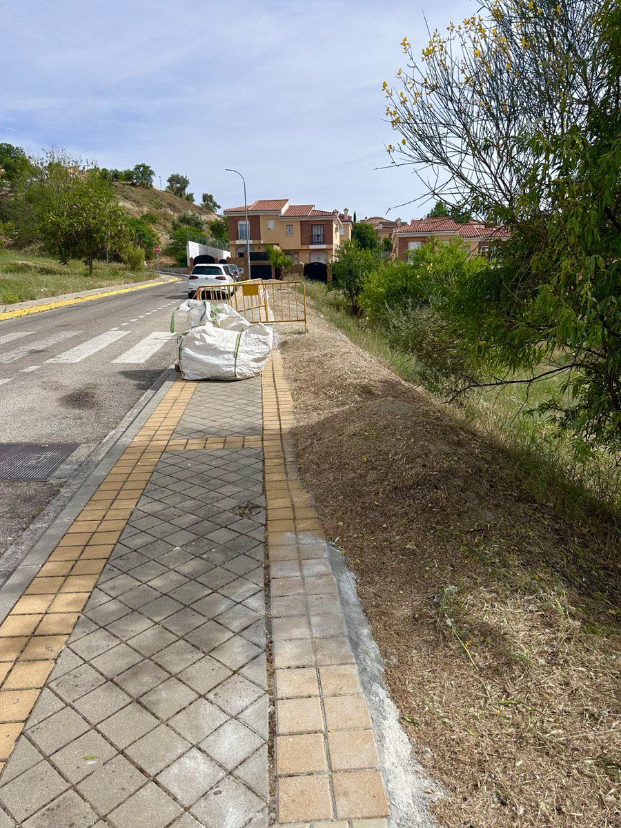 Aurora Suárez tweet media