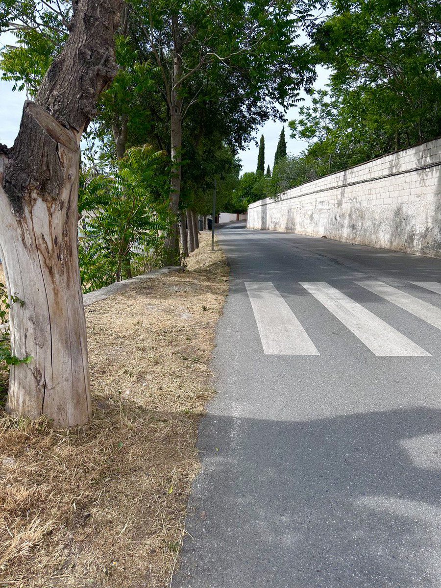 Aurora Suárez tweet media