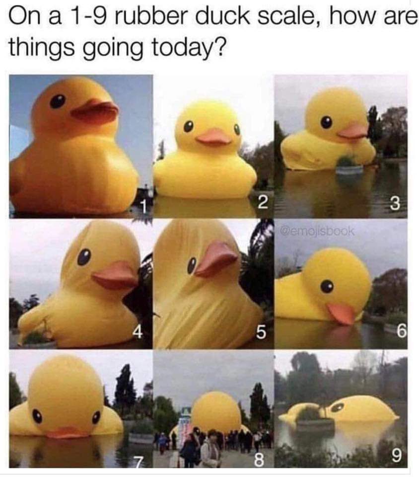 MarleyBetz's tweet photo. Straight 6.
Can I go back to my bed yet?
#straightsix #readyfortomorrow #rubberducky #moodscale #finalsweek https://t.co/lL9UKA60IQ