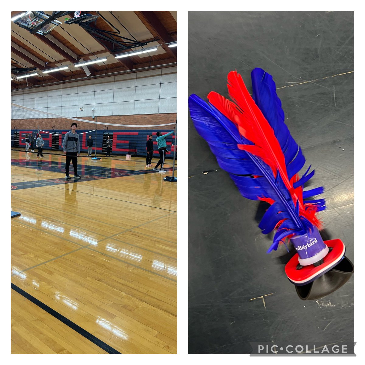 gallowayteri's tweet photo. Adding Peteca as a lead up game to Spikeball #eaglespe ⁦@SHAPEWA⁩ https://t.co/GJ1jRdOsQV