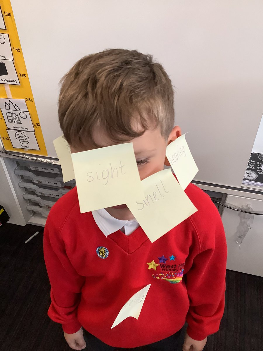 westheathprim's tweet photo. #WHPSClass3 enjoyed learning about and using our senses today. First, we labelled our friends to show which body parts our senses come from and then we enjoyed a sunny senses walk; we were able to put our learning to good use and identify all of our senses. 👂🏻👃🏼👀👣 #WHPSScience https://t.co/2kAR3KSD7X