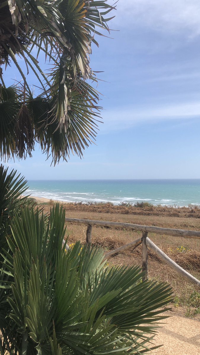 francescaruo's tweet photo. ciao puponi sono in sicilia https://t.co/lJnMjas7je
