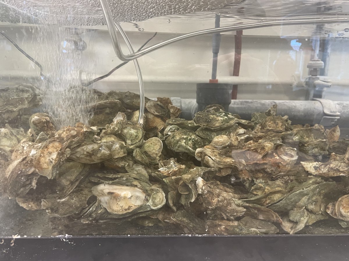 Wilker Lab tweet media