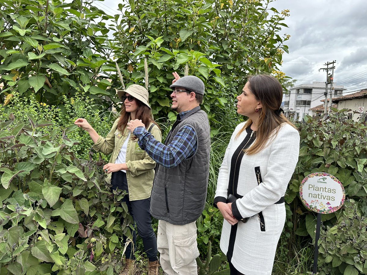 #SembrandoUnaCiudad ha entregado a Cuenca más de 3400 plantas de 40 especies nativas que están distribuidas a lo largo de un kilómetro y medio en la Av. 12 de Abril desde el redondel de El Otorongo hasta el puente El Centenario.