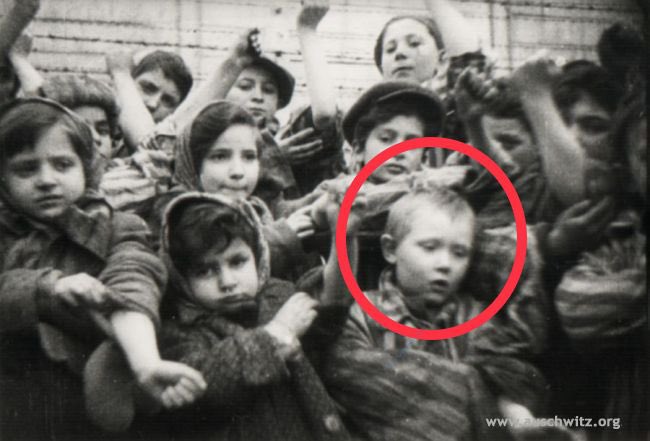 AuschwitzMuseum's tweet photo. Here is Michael Bornstein photographed with other surviving children after liberation of Auschwitz. https://t.co/oRlc1HDJcW