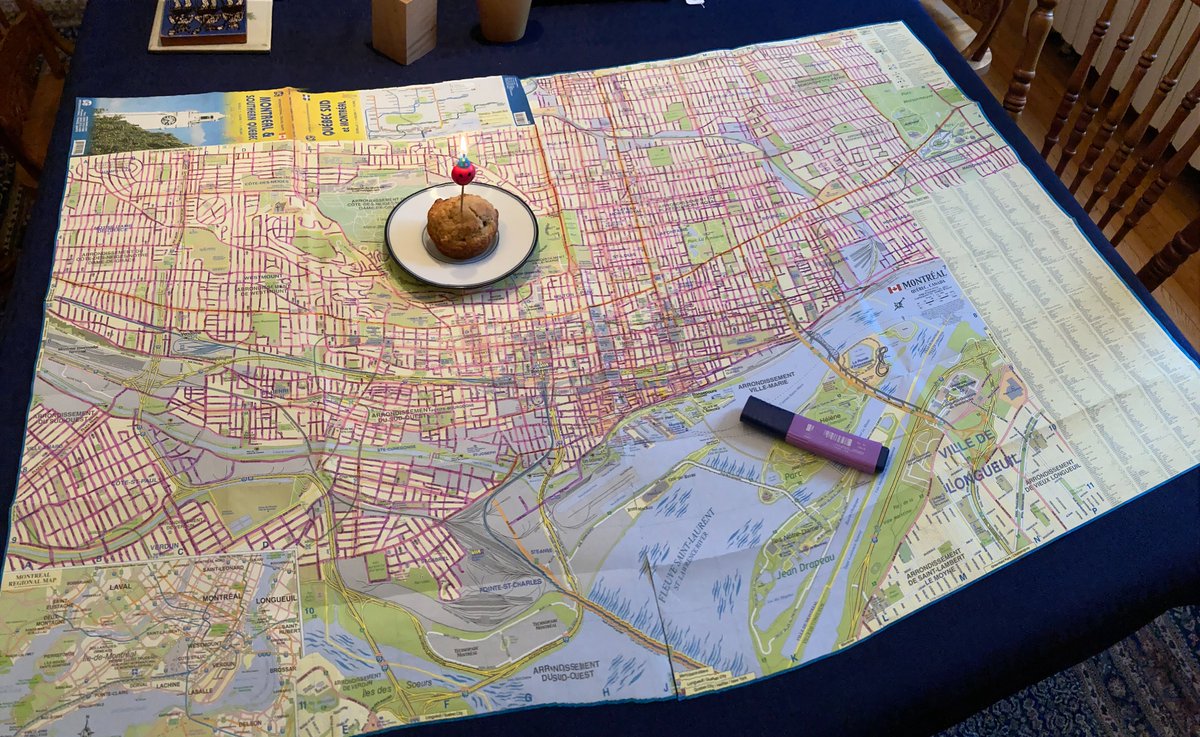 I’ve resurrected my blog Purple Roads à Montréal because walking every street in the city wasn’t enough. My new map covers way more territory and I plan to walk it all too. Check out my travels here purpleroads.weebly.com 
#walkingMontreal #WalkMontreal #MesQuartiers