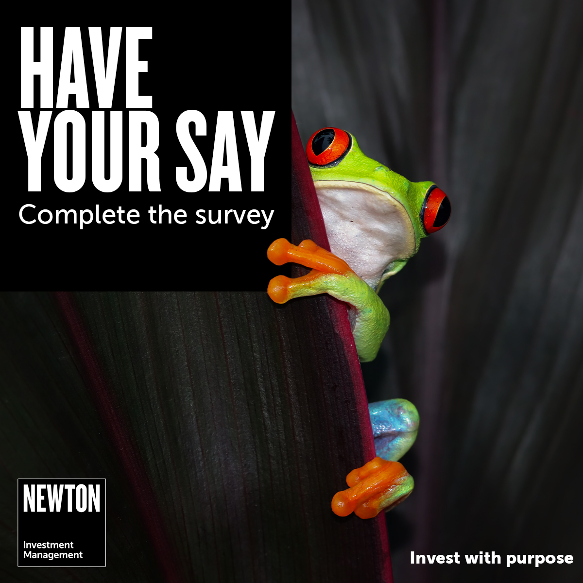 The Newton Charity Investment Survey has provided unparalleled insights and trend comparisons of the sector's investment intentions over the last nine years.

Don't miss out on this chance to contribute to the future of the sector. Complete the survey 👇 smartsurvey.co.uk/s/NewtonCharit…