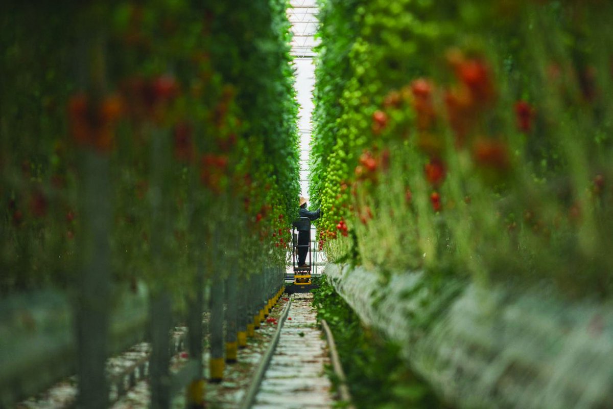 <a href="/GeorgiaCOI/">Georgia Center of Innovation</a> and its six industry teams are featured in the latest edition of <a href="/gabizmagazine/">GaBiz Magazine</a>, speaking about how their work clears the path to success and innovation for Georgia businesses. Read it here: bit.ly/3AMVDQB