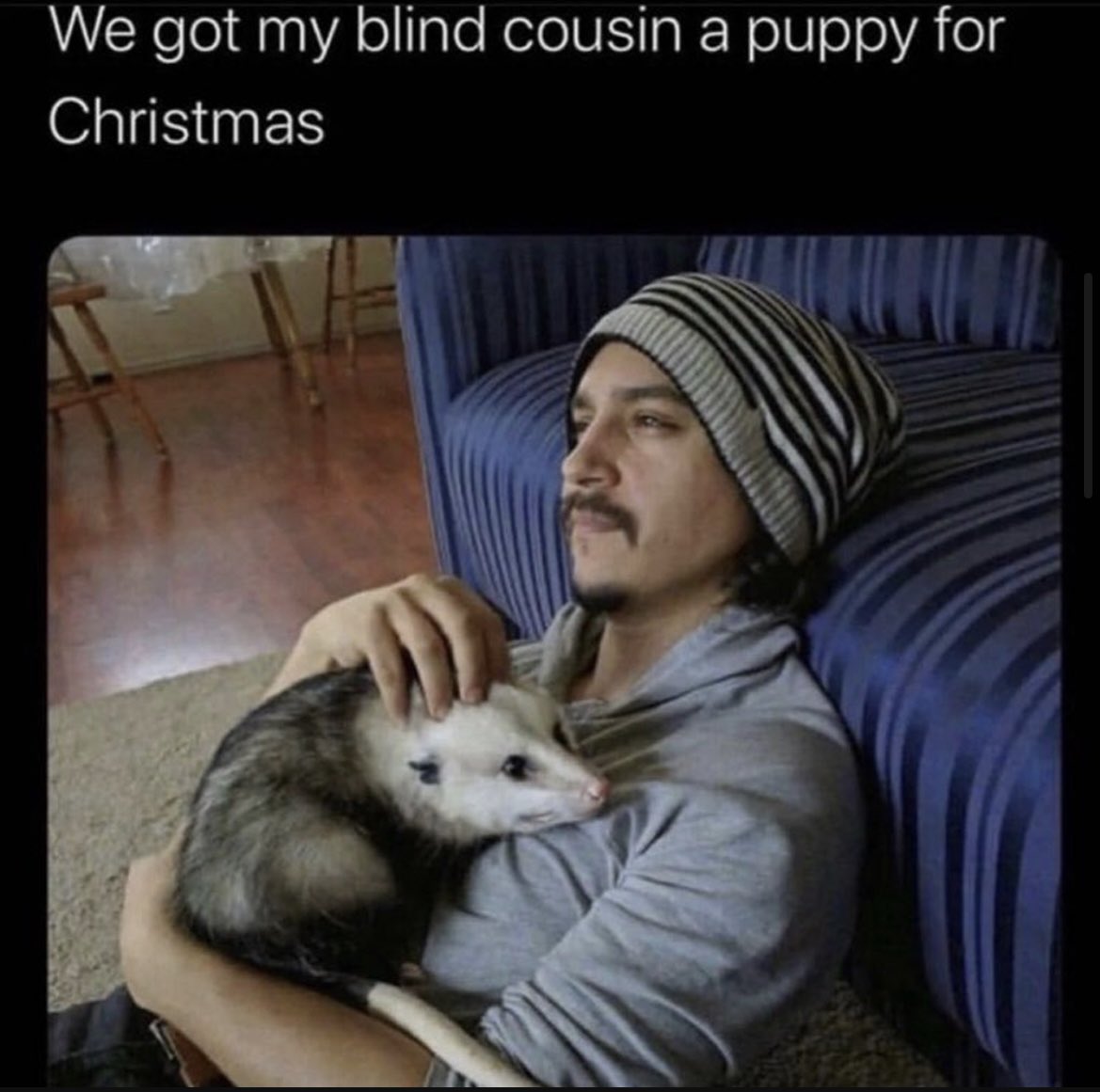 Clouttrout tweet media