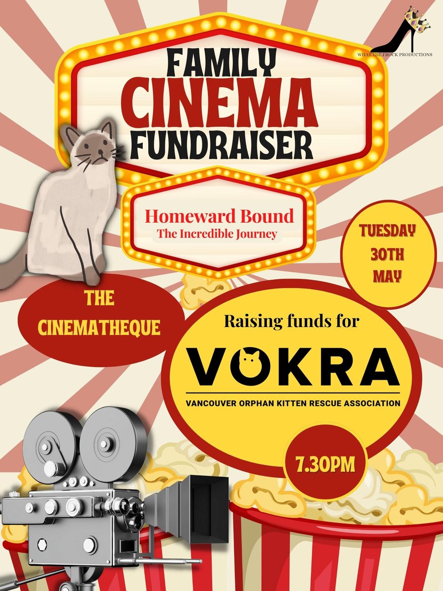 VOKRA - Vancouver Orphan Kitten Rescue Association tweet media