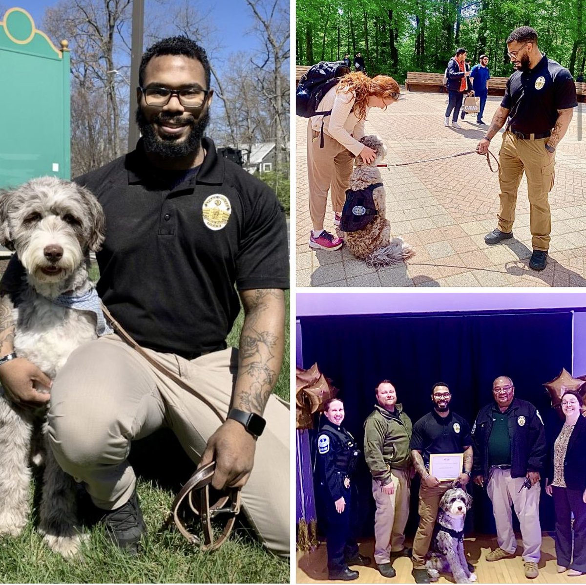 Bill McCabe (@billmccabe_) on Twitter photo Recently, <a href="/k9sforwarriors/">K9s For Warriors</a> donated a career changed service dog named “Bunji” to <a href="/thegmupd/">George Mason University Police Department</a> Crisis Response & Peer Support team.
Bunji now serves alongside Corporal Mumin providing love on four legs to community members experiencing various #MentalHealth needs.
<a href="/GeorgeMasonU/">George Mason University</a> Recently, <a href="/k9sforwarriors/">K9s For Warriors</a> donated a career changed service dog named “Bunji” to <a href="/thegmupd/">George Mason University Police Department</a> Crisis Response & Peer Support team.
Bunji now serves alongside Corporal Mumin providing love on four legs to community members experiencing various #MentalHealth needs.
<a href="/GeorgeMasonU/">George Mason University</a>