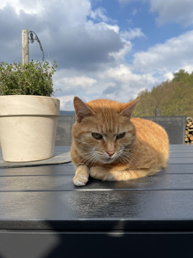 Was für ein April. 

Level 23 ✅
5 Jahre Herr Freund &amp; Ich ✅
Max ist immer noch niedlich ✅

Bitte ignoriert großzügig den Finger auf dem Bild, es war schon etwas später am Abend. ☠️🙈