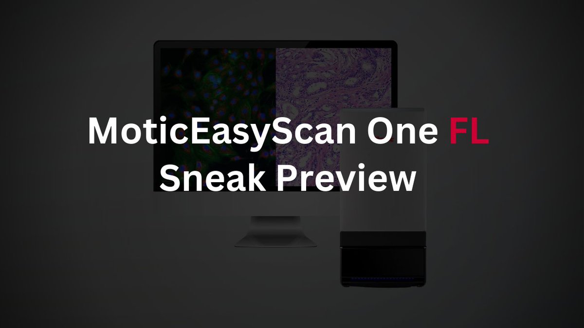 #MoticEasyScanOneFL is coming soon! 👀

Watch the latest preview of Motic's very first fluorescence scanner! This compact yet powerful single-slide scanner will make a great addition to any lab's fluorescence workflow.
#fluorescence #cancerresearch #wsi

bit.ly/3LNiCkX