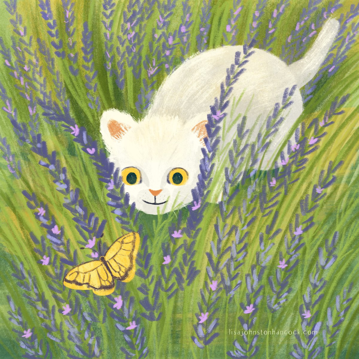 LisaJHancockArt's tweet photo. Next up for @drawingbabiesweek is Lavender. I thought of a kitten hiding in the plants.
#DrawingBabiesWeek #illustrationchallenge #kidlitillustrators #kidlitart #cutekittens https://t.co/V43YgLOBIe