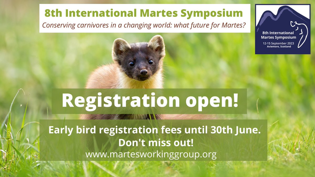 📢 Registration is now open for the 8th International Martes Symposium! 📢
 
Join us in Aviemore, Scotland, to hear the latest news and research on Martes species from across the globe, plus enjoy a field trip and social activities! 
 Register now 👉
eventbrite.ca/e/8th-internat…