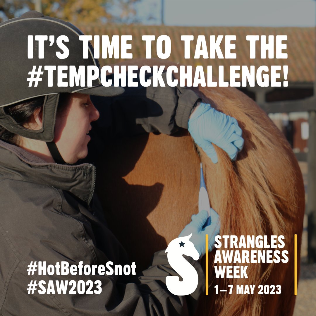 Hartpury Equine International Events tweet media