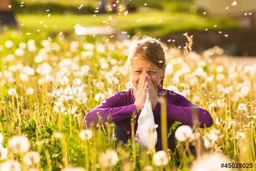 bioteklabs's tweet photo. https://t.co/eeoW40VVs9
  #ancillaryservices
#ancillaryrevenue
#allergyservices
#allergytesting
#allergytreatment #allergies
#immunotherapy https://t.co/da6XaAbQq8
