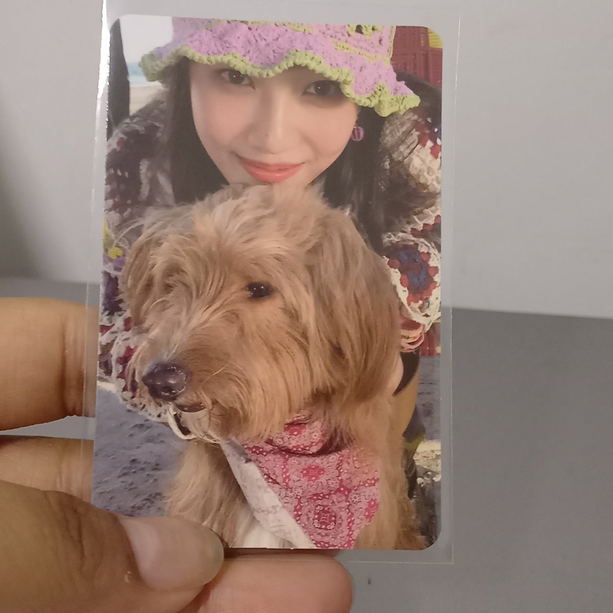 monoholicc's tweet photo. feedback super positivo para @0503sell. a gica foi sempre muito organizada e transparante durante todo o processo da ceg. e o card chegou muito bem embalado. obrigada ♡ https://t.co/SsljGmNIaw