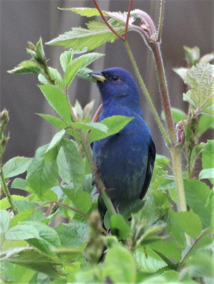 Bill Belford tweet media