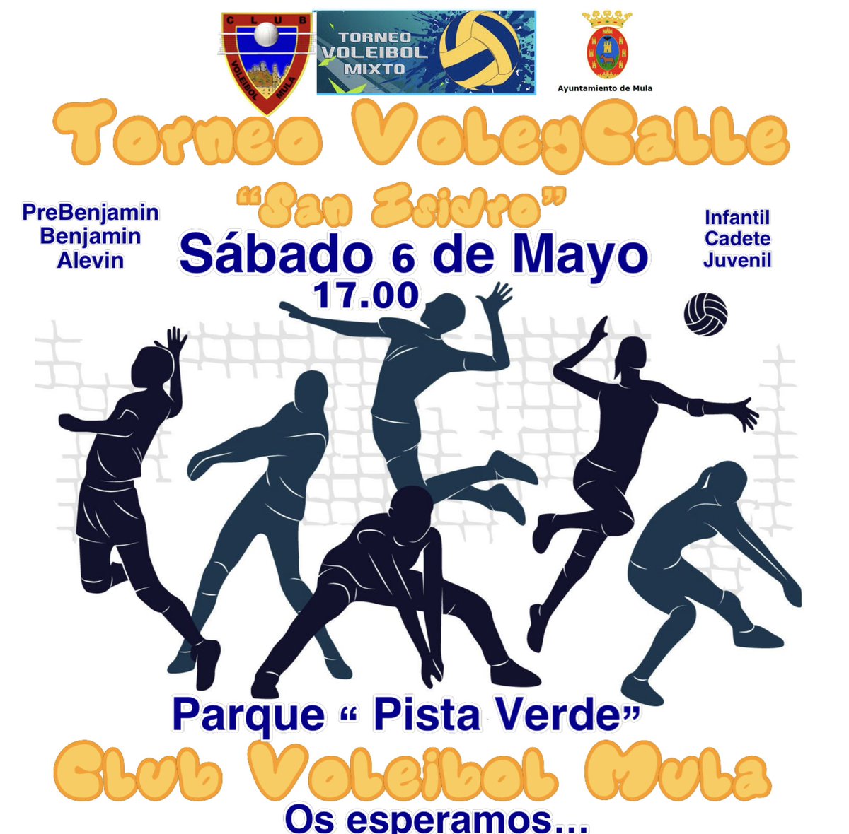 Club Voleibol Mula tweet media