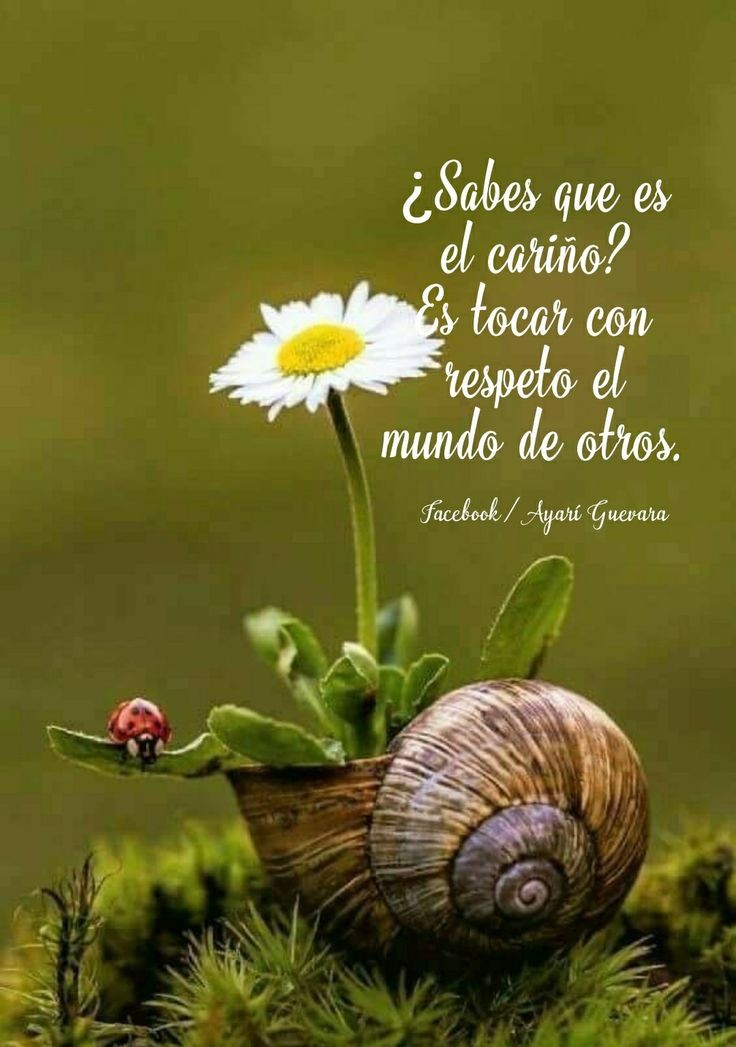 Respeto a la vida, a la creación 😊