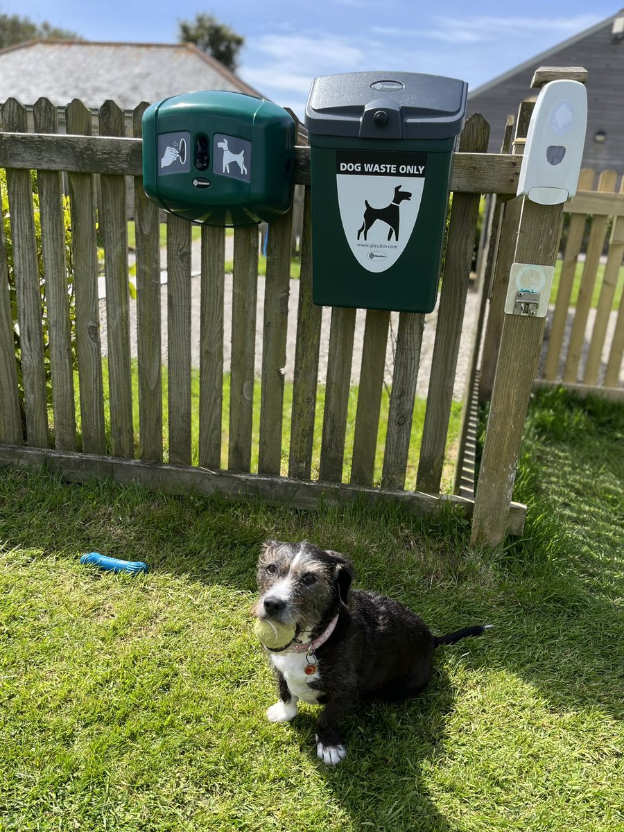 trevalgan's tweet photo. Our new fully enclosed, five star ‘off lead’ area for dogs is now complete and has been well received by our four-legged guests 😊🐶🐾
#AwardWinning #fivestar #luxurycamping #dogfriendlyholidays #stivescornwall #lovecornwall https://t.co/wsuNzHKT3X