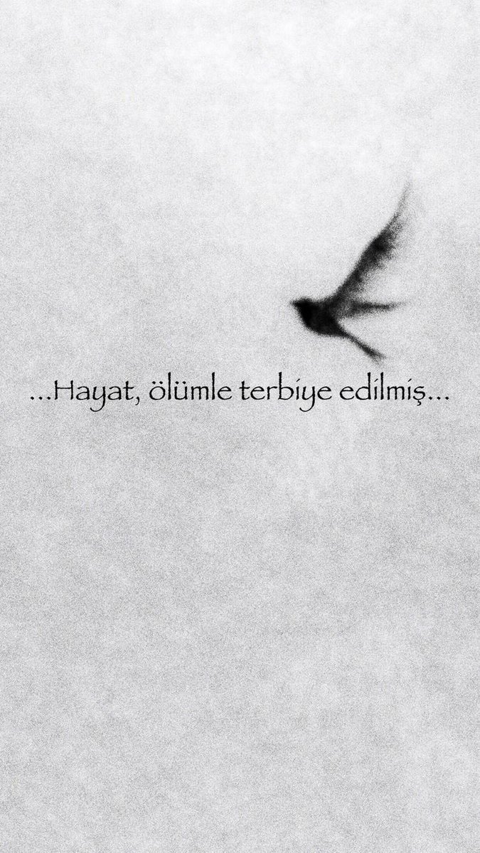 ɪ̇ʙʀᴀʜɪ̇ᴍ ᴋᴀʀᴀᴛᴀş (@ibrhmmkrtss) on Twitter photo 