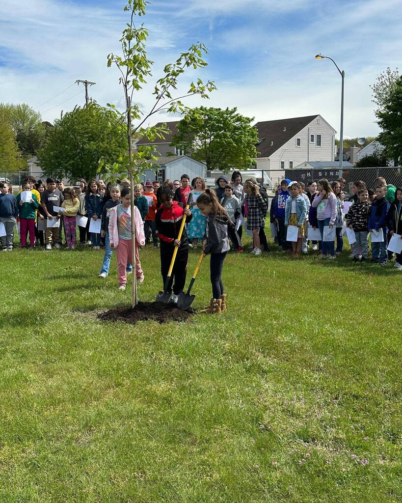 berkeleypotter's tweet photo. Our third grade classes did a wonderful job today at our Arbor Day ceremony and tree planting!  #wearehmp https://t.co/E9fRbJ53hc