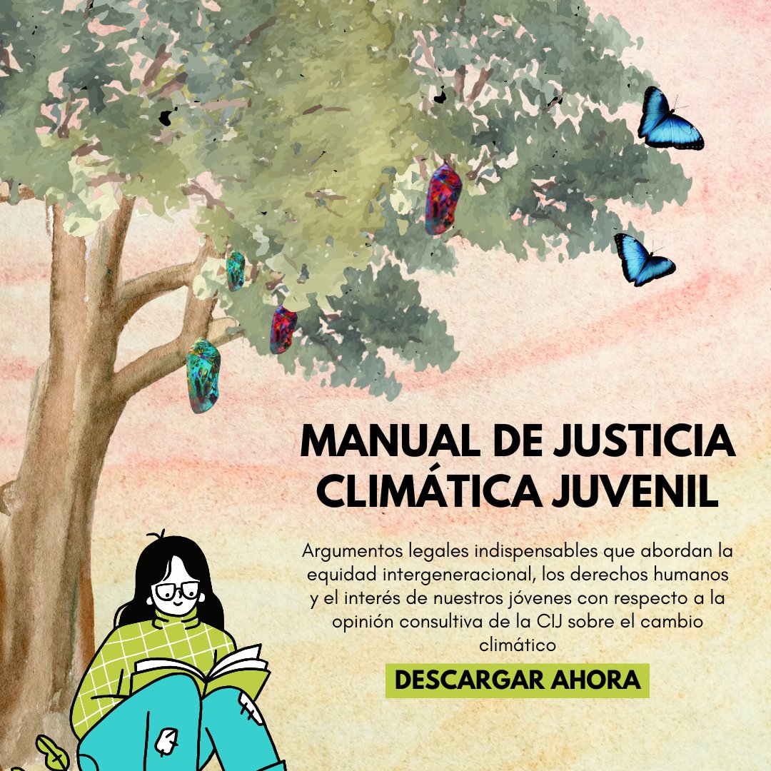🙌El movimiento #ICJAO4Climate lanza el Manual de Justicia Climática Juvenil, el cual tiene argumentos legales influyentes en el lenguaje de la CIJ que aborda asuntos de equidad intergeneracional, derechos humanos y el interés de lxs jóvenes. 
Descargar➡️ pisfcc.org/handbook