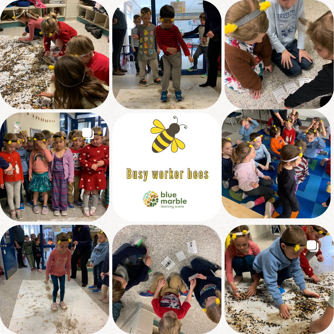 These Kindergarteners became worker bees as part of our bee-venture yard field trip. By the end of the activity they had graduated through 5 levels as a junior worker bee to become a senior worker bee! 

Thanks for pollinating our flowers and making honey! #pollinators #teacher