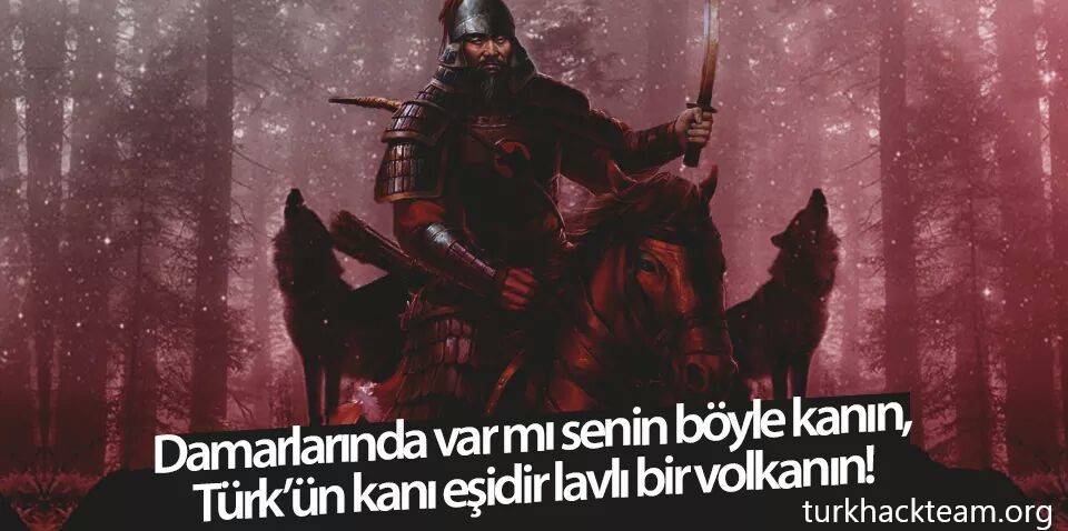 Turk Hack Team tweet media