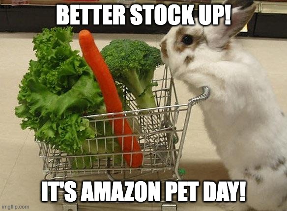 Hop on over to Amazon for #AmazonPetDay deals today! Stock up on all your rabbit needs!
We've got some Amazon Wishlist items on sale - items go directly to support our programs & foster rabbits!
Check out our list: tinyurl.com/MCRSamazon

#mcrs #pets #foster #nonprofit #deals