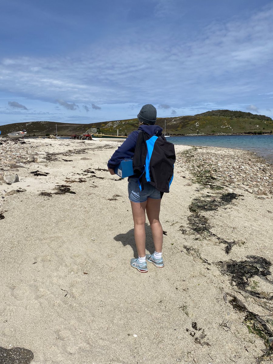 CornishSpliced's tweet photo. It was a hard job, but somebody had to do it... And that someone was very excited to do it!!!

We're on the Isles of Scilly visiting our #Spliceketeers and beach 🏝️ hugging 🤗.

First port of call was Bryher to say hi to our friends at Fraggle Rock 
#IsleOfScilly #Bryher https://t.co/9sSocpRDaK