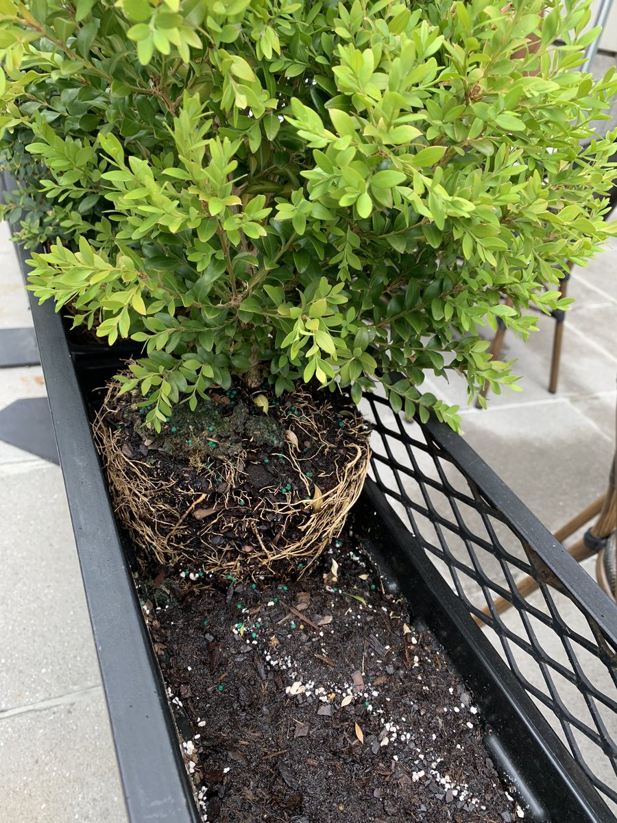 A. Mark Kyprios tweet media