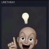 dilfoez's tweet photo. when meme becomes reality https://t.co/a491m5h1La