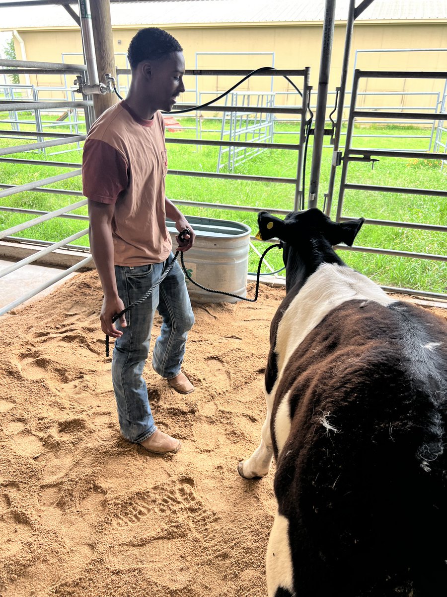 Mayde Creek FFA tweet media