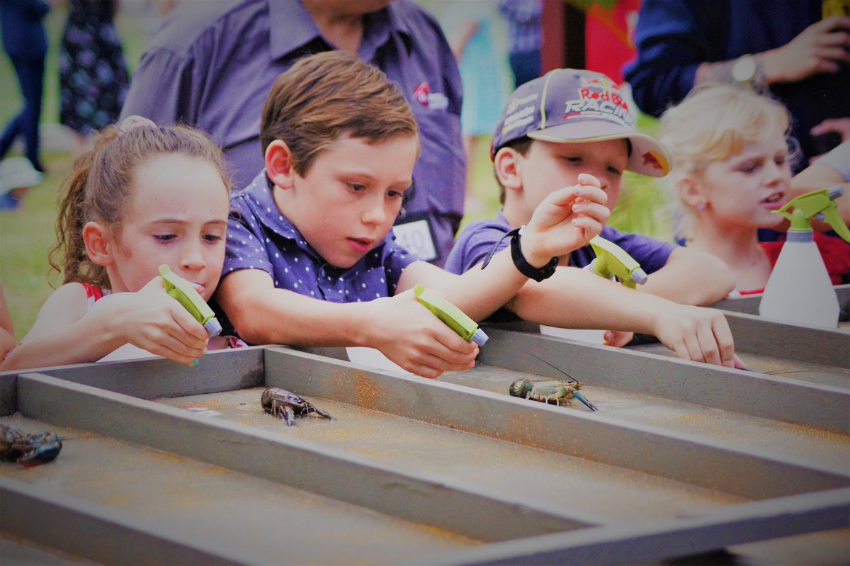 If you are looking for something to do this weekend, come down to the Beaudesert Hibernian Race Day. Gates open at 11.30 am on Saturday 6th May, and tickets are only $10, with kids entry for free.
Buy your tickets here hibernian-race-day-2023.raisely.com/ticketform #ruralhealth #visitscenicrim