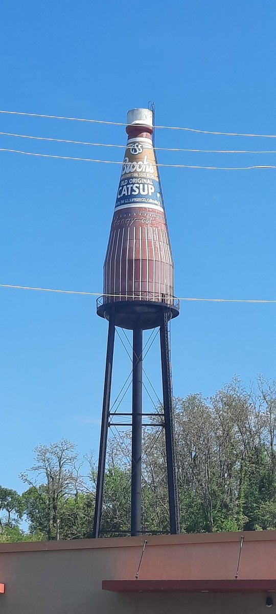 dreambuilder48's tweet image. Look what we found on our road trip. Wonder what will be next?