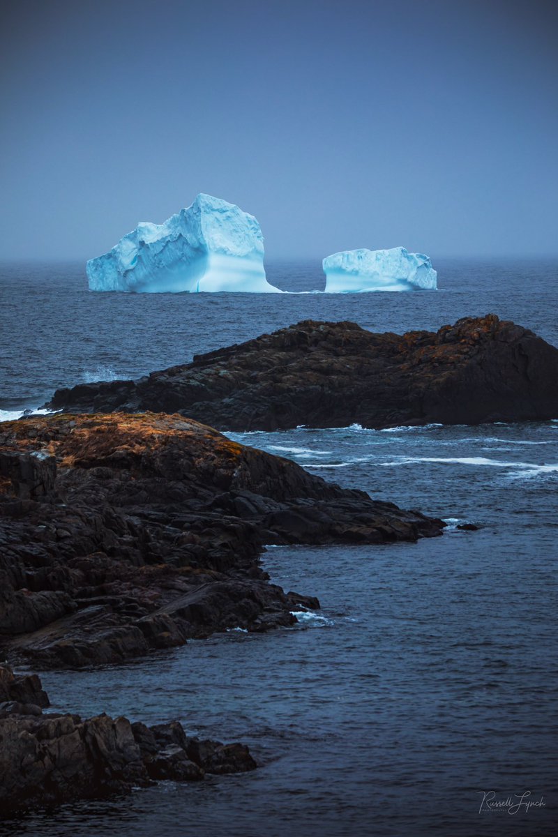 Russell Lynch Photography tweet media