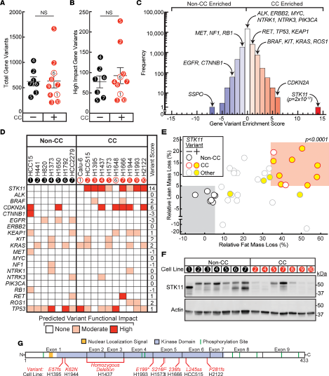 @IyengarPuneeth @jci With WES, we showed that tumor STK11/LKB1 LOF variants were associated with cachexia-inducing cell lines and not with non-cachexia inducing tumor lines.