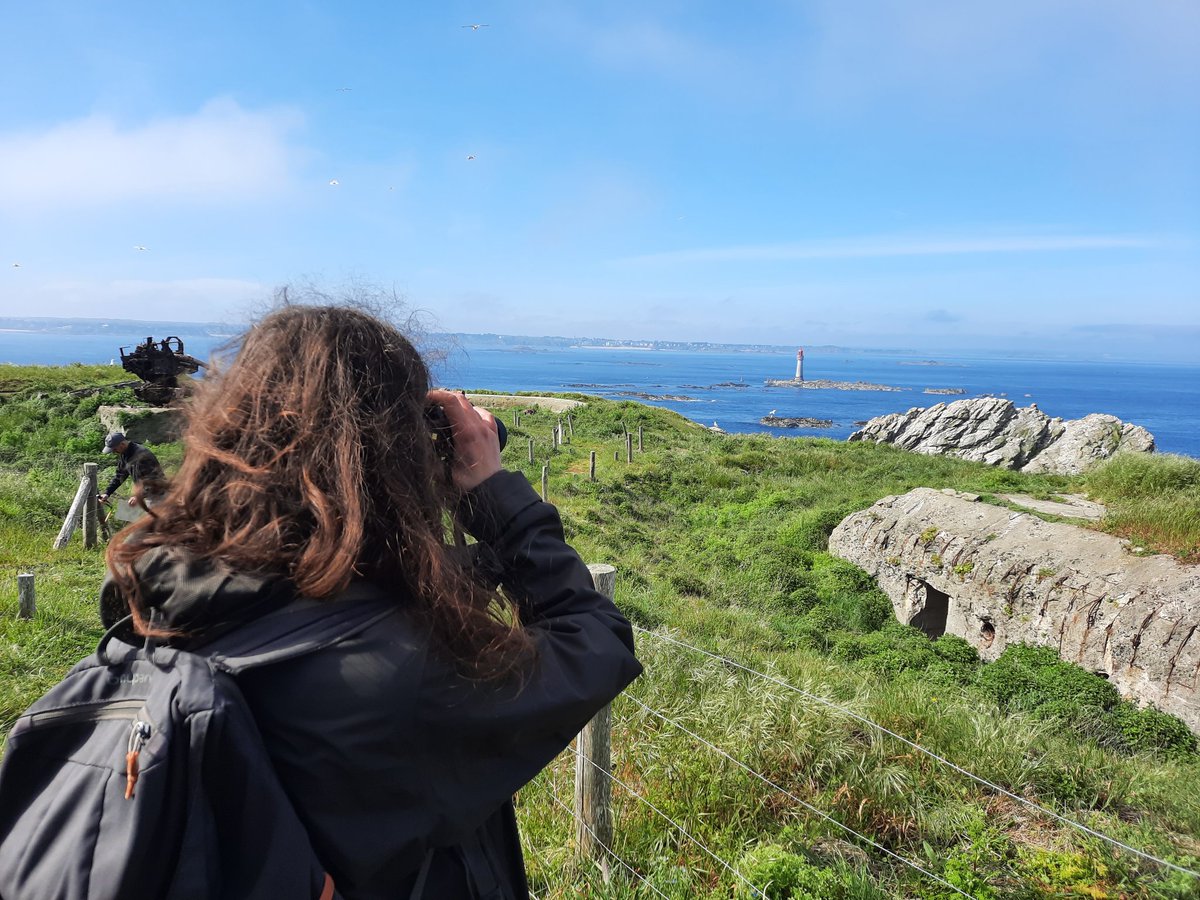 Bruno_Gaulin's tweet photo. En tournage sur l'Île de Cézembre #SaintMalo espace naturel sensible @ille_et_vilaine @littoral_cdl @BretagneVivante.
Beau temps, mer calme, site préservé. A decouvrir sur la pointe des pieds durant la nidification. 
A découvrir bientôt dans #Curieuxdenature @bleuarmorique. https://t.co/3S1uqZFAZZ
