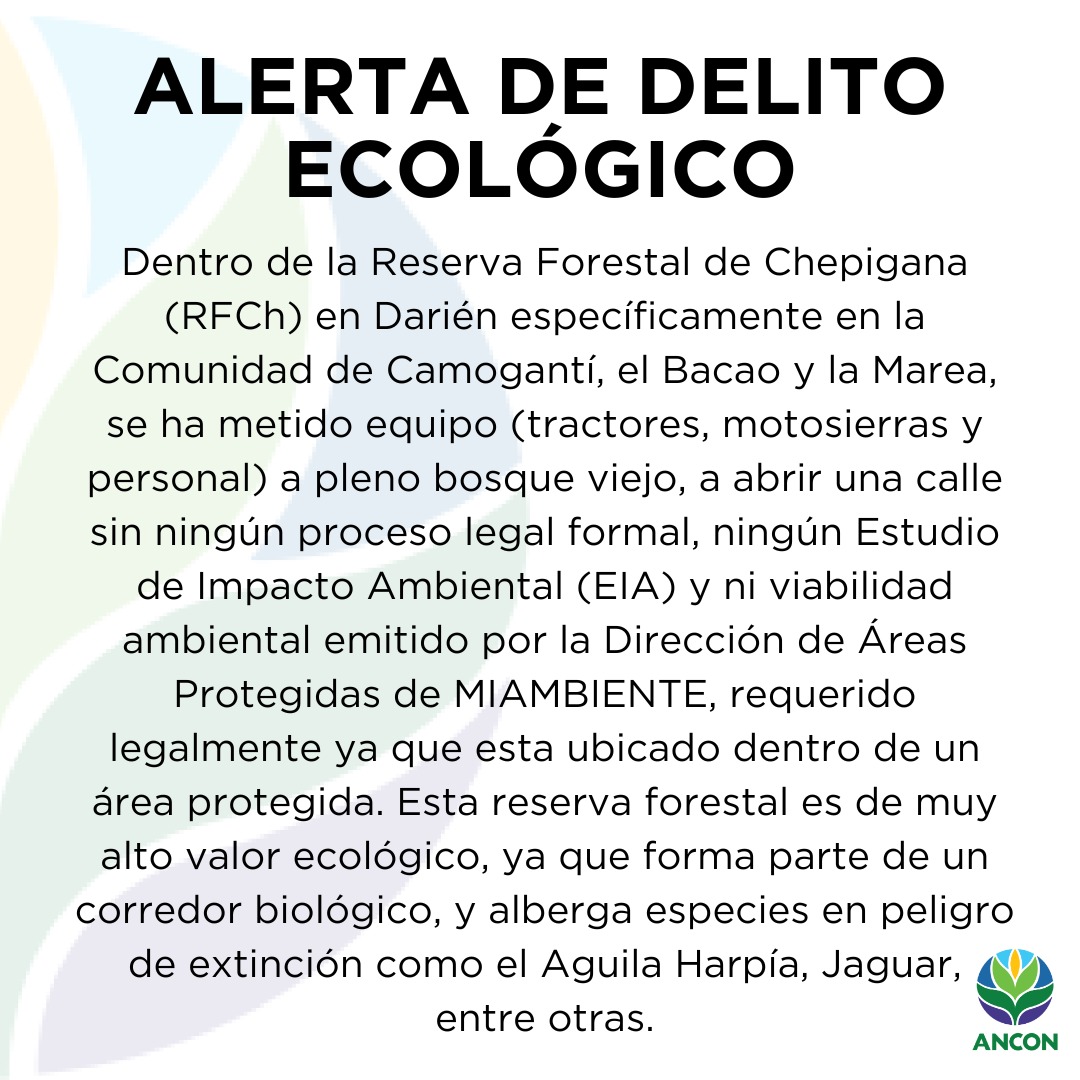 ANCON Panamá tweet media