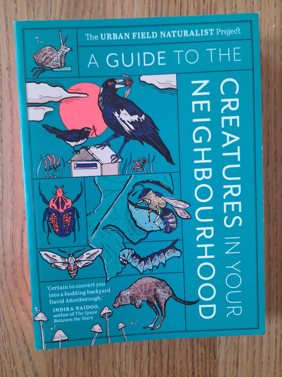 After months of admiring the e-book, today I received a hard copy of this wonderful treasure, coming from the other side of the world: 'A Guide to the Creatures in Your Neighbourhood' by @UrbanFieldNats urbanfieldnaturalist.org/book Can't wait to become an urban field naturalist