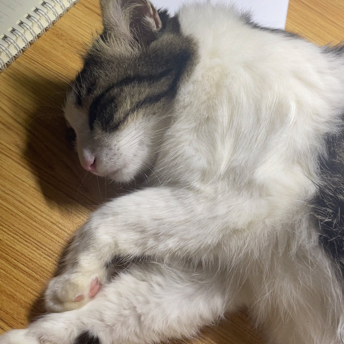 😴