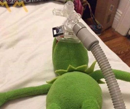 me after laughing at my own jokes