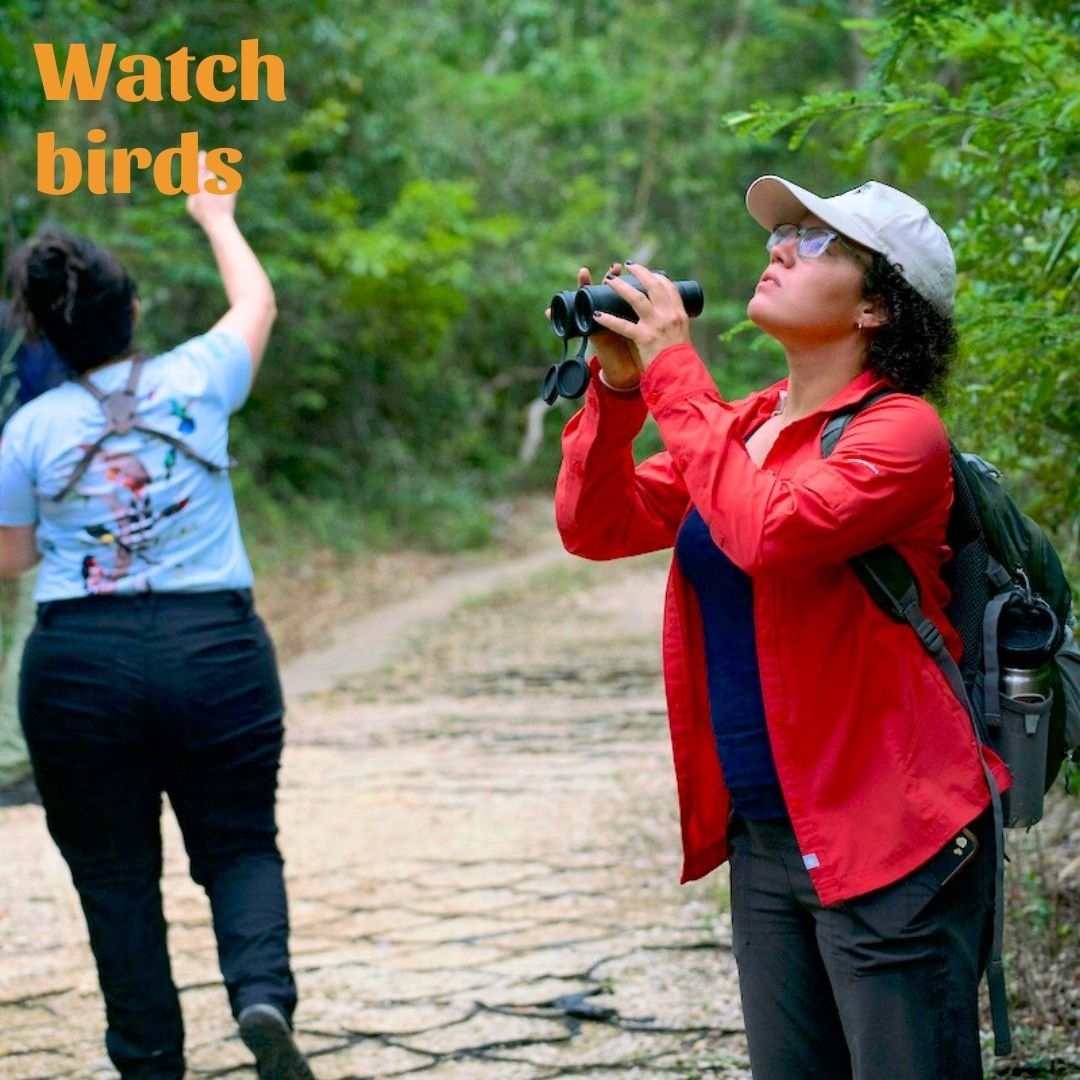 BirdsCaribbean's tweet photo. #GlobalBigDay (GBD) is in 12 days! 🎉 Have you joined one of our fun birding teams? 🤔
 #BandTogetherForCaribbeanBirds &amp; win cool #prizes at https://t.co/8TV5pZmxVI

@TTFNC @BirdingEastCuba @paralanaturalez @doecayman @jcestero @jamentrust @GaeaNetwork @tcnationaltrust https://t.co/UncSx3Zcvw