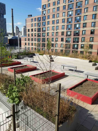 NYC_SCA's tweet photo. @NYC_SCA Project of the Week: This rooftop garden at PS/IS 217 on Roosevelt Island is nearly complete. This rooftop includes classroom instructional space for students and is fully ADA accessible via an elevator on the east side of the roof. @NYCSchools https://t.co/xOC8OMZWXT