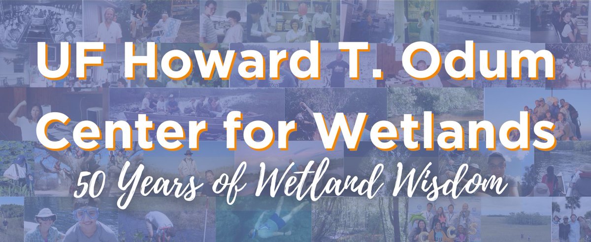 ufWetland's tweet photo. The CFW turns 50 this fall! Over the next few months, we will be commemorating the legacy of H.T. Odum, sharing alumni spotlights, & recognizing the trailblazers behind @uflorida's longest-running seminar & our achievements as we celebrate this milestone. #CFW50 https://t.co/UVzlI5JlTn
